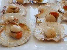 Stunning fresh seafood enjoyed in fine dining restaurants 