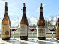 Spectaculars wines from Barolo for us to enjoy