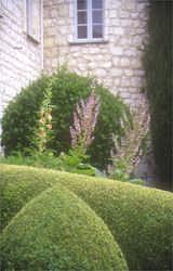 Stunning topiary and aromatic garden at a lovely 13th centry perched castle
