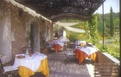Tranquil setting for a lovely long meal overlooking the gardens