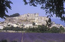 grand chateau and lavender vista one of many beautiful sights as we tour provence