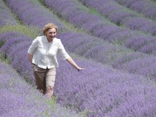 Precious moment touring the blooming lavender fields