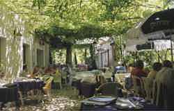 Lovely small restaurant off-the-beaten-path in Provence, nestled under linden trees with lots of charm, delightful food and locals